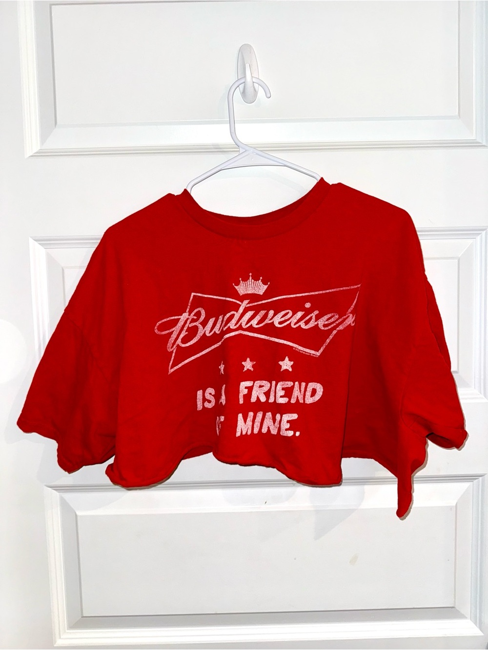 Cropped Vintage Style Junk Food Budweiser Top